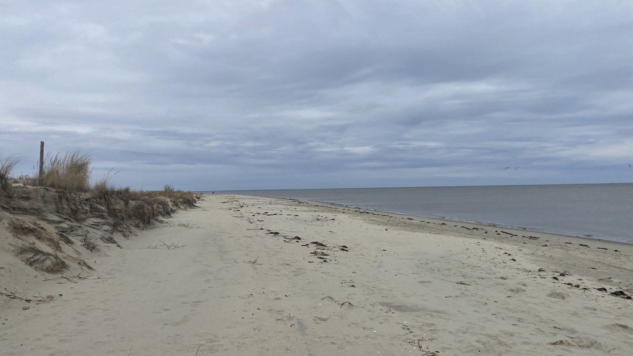 Photo of Others in Broadkill Beach