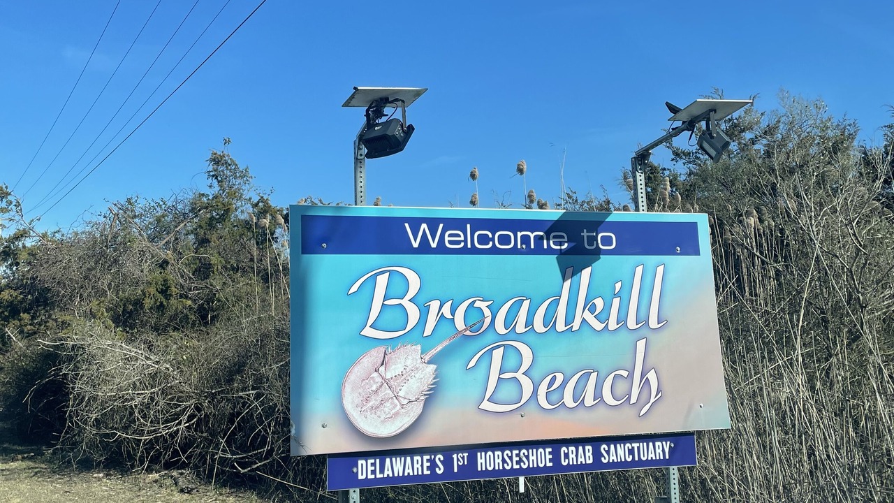 Photo of Others in Broadkill Beach
