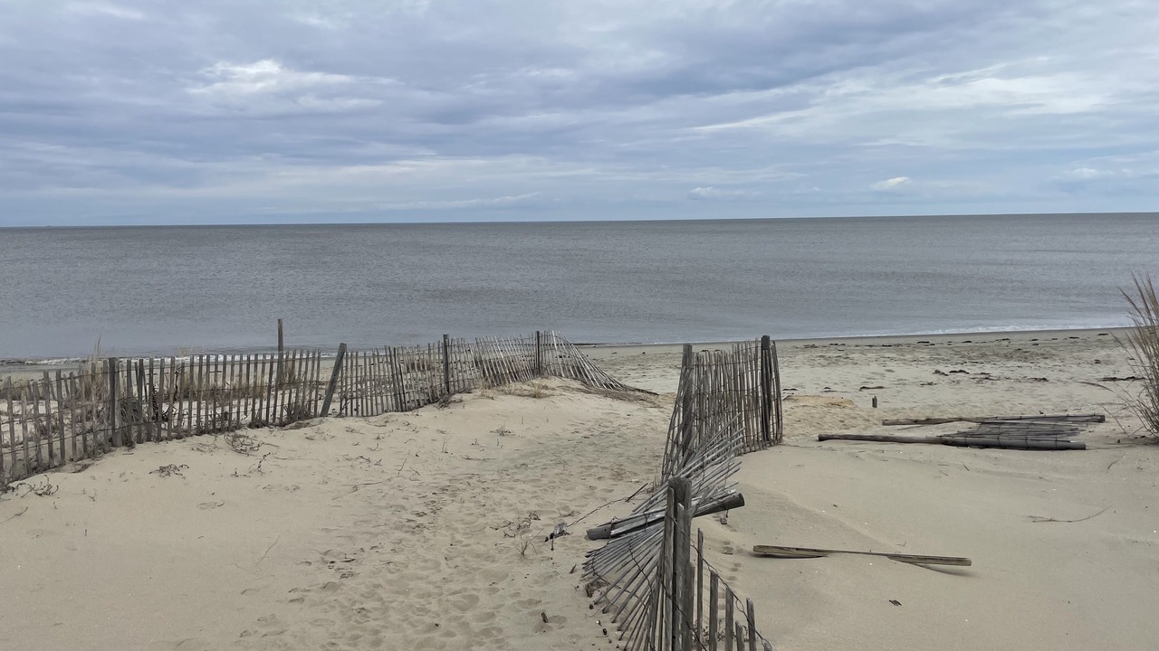 Photo of Others in Broadkill Beach
