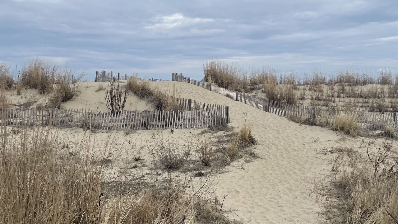 Photo of Others in Broadkill Beach