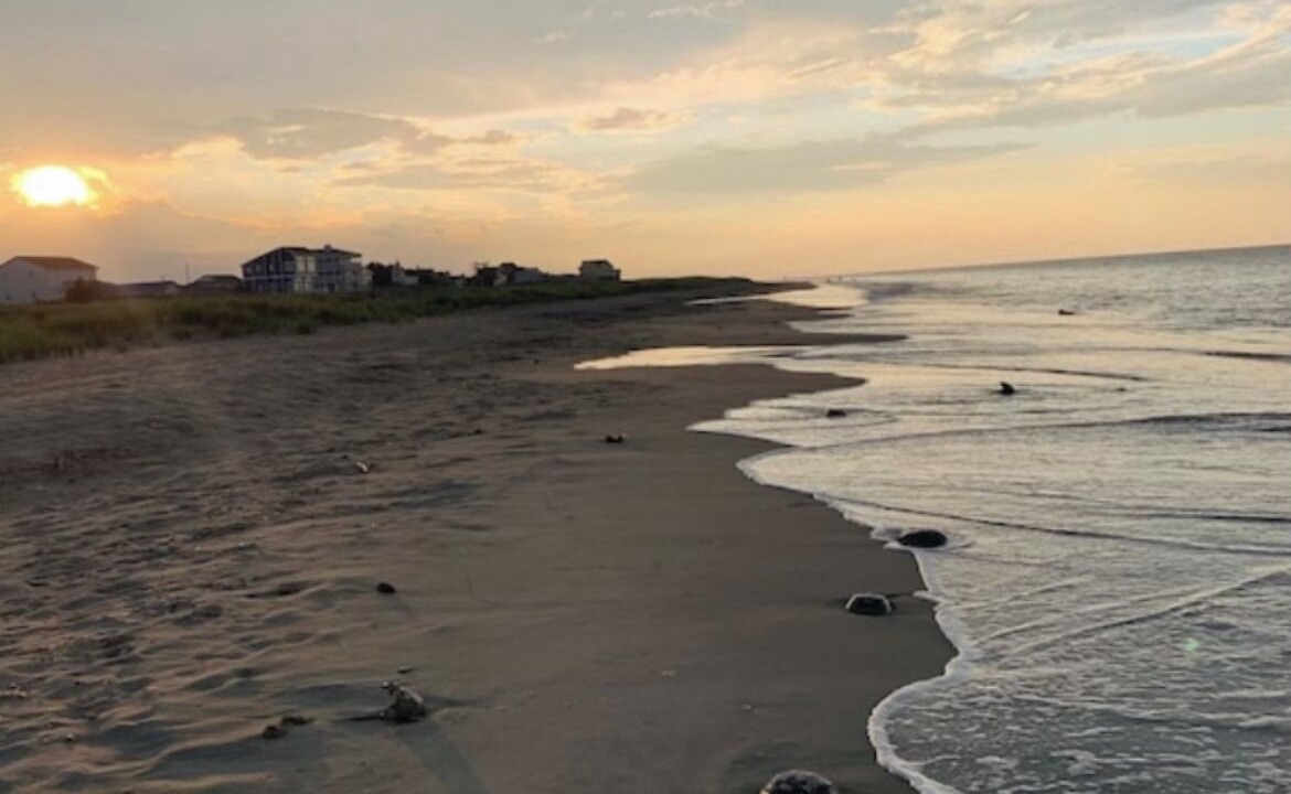 Photo of Others in Broadkill Beach