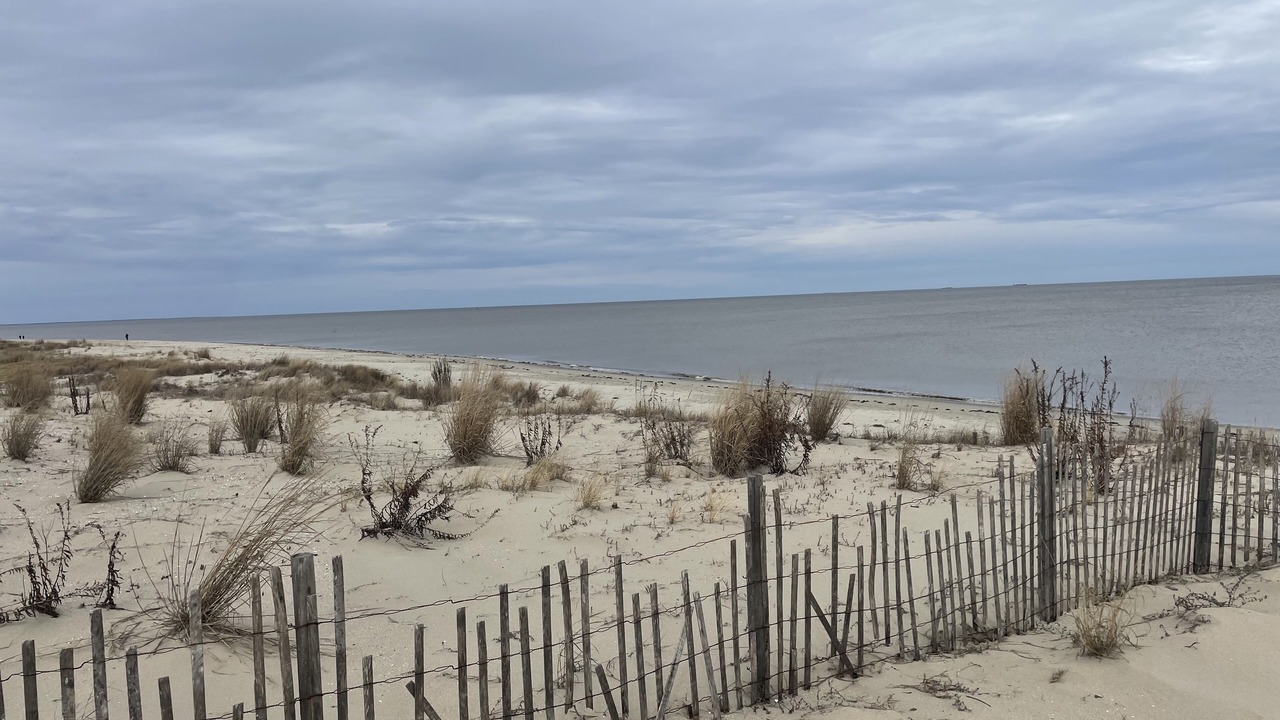 Photo of Others in Broadkill Beach