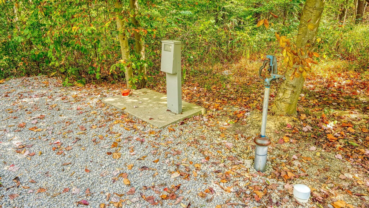 Photo of Outdoor in South Bloomingville