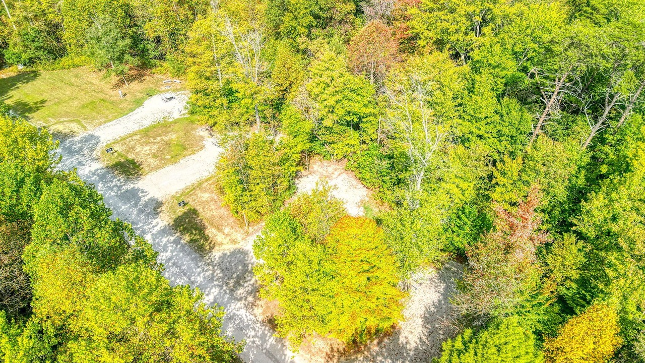 Photo of Outdoor in South Bloomingville