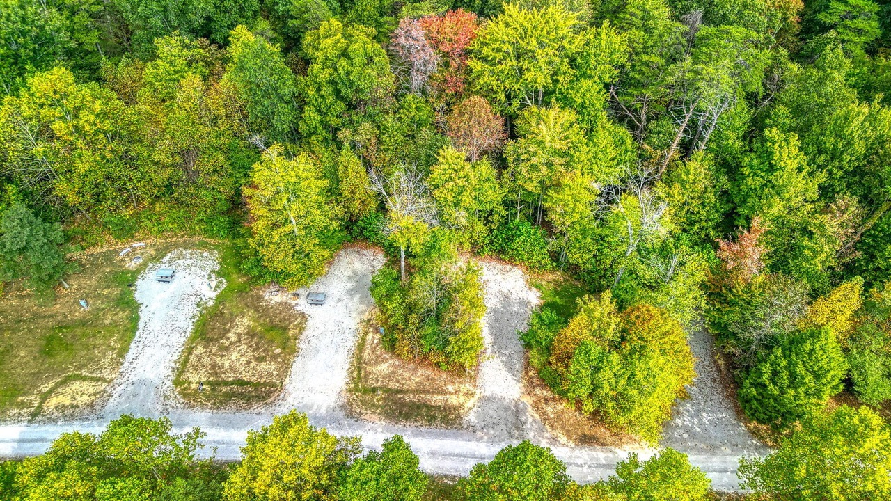 Photo of Outdoor in South Bloomingville