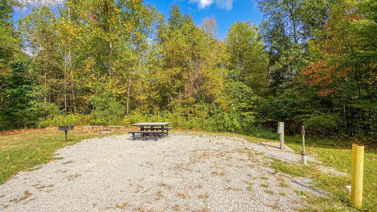 Photo of Outdoor in South Bloomingville