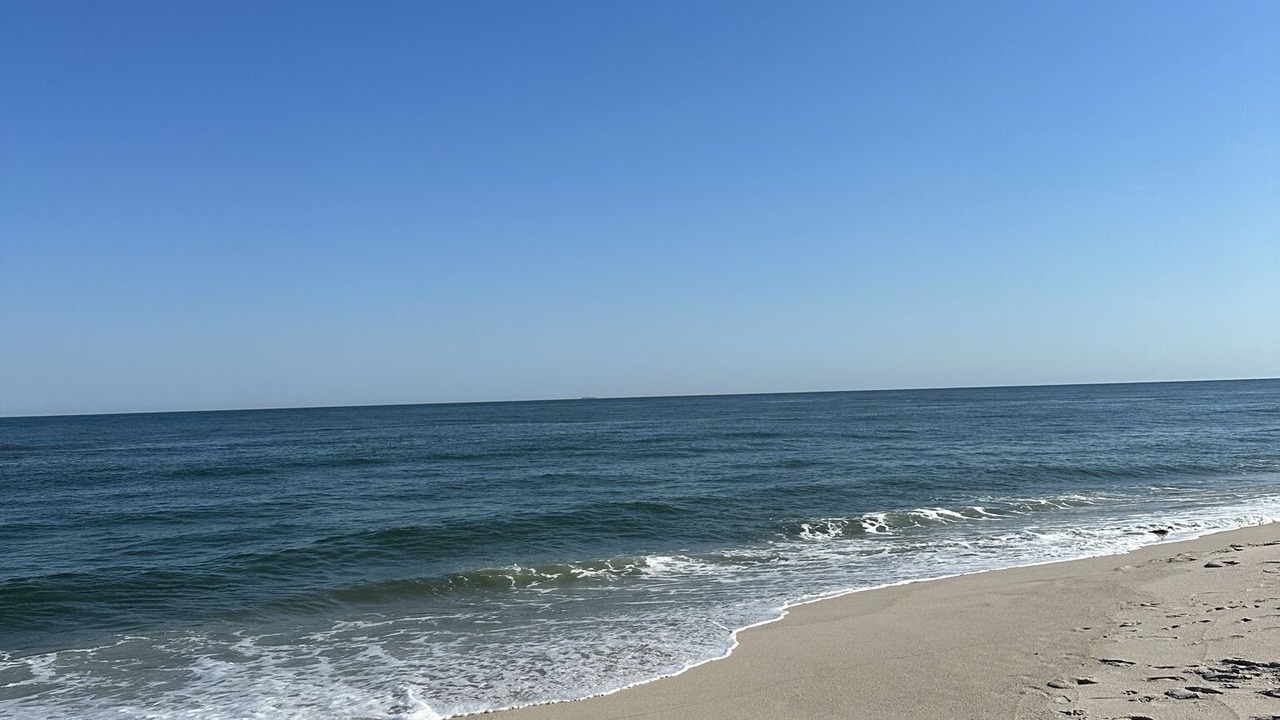 Photo of Others in Normandy Beach