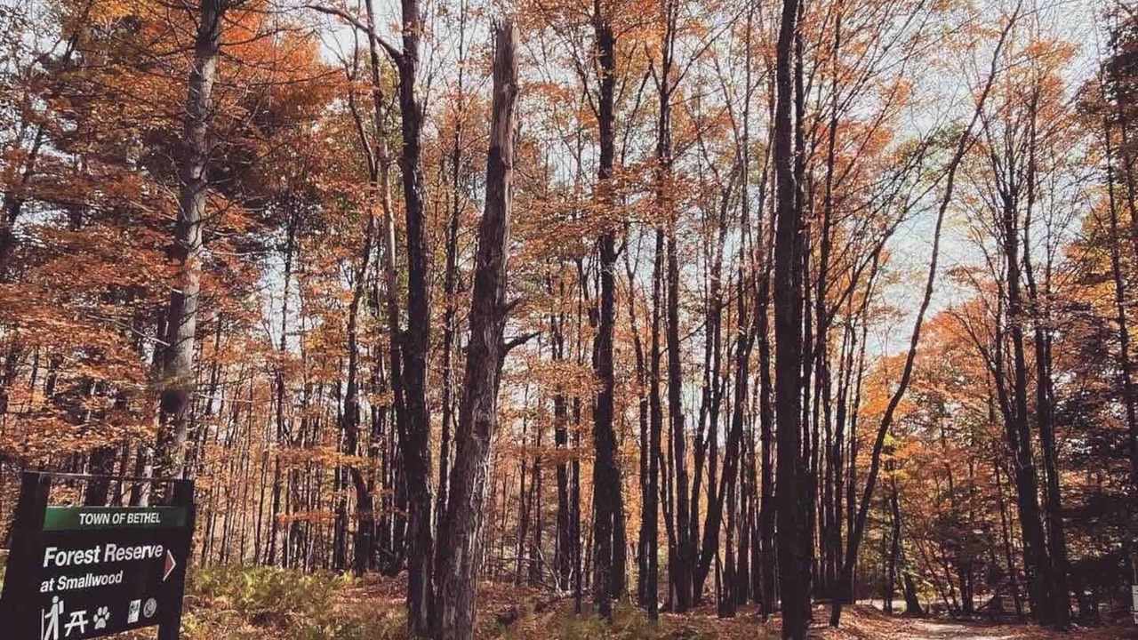 Photo of Outdoor in Smallwood