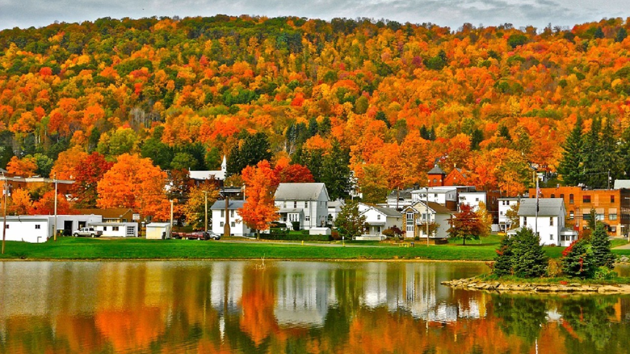Photo of Outdoor in Smethport