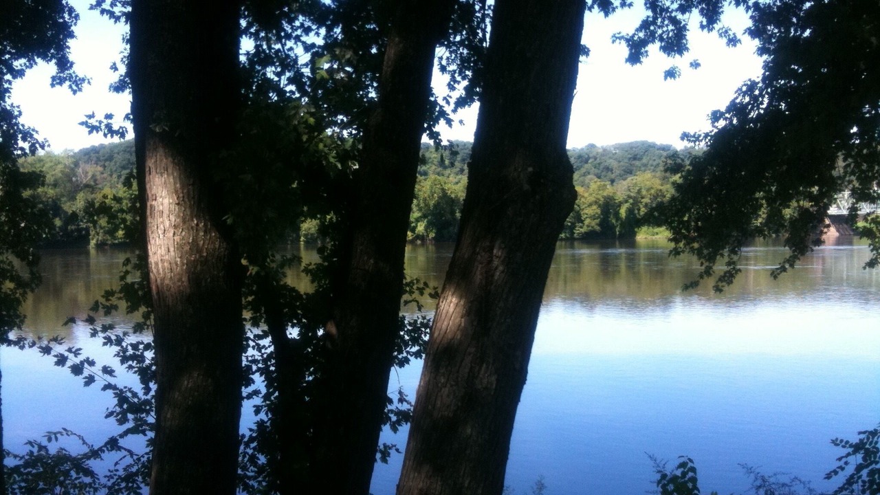 Photo of Others in Baptistown