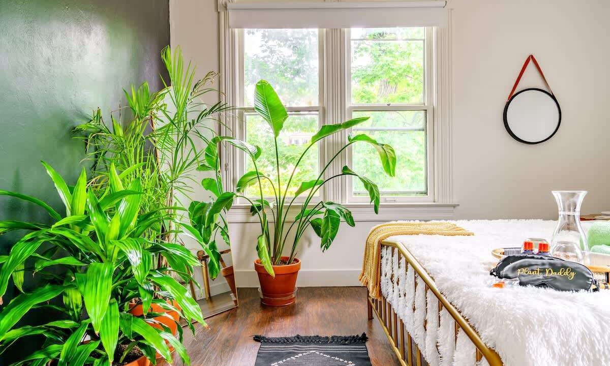 Photo of Bedroom in Chillicothe