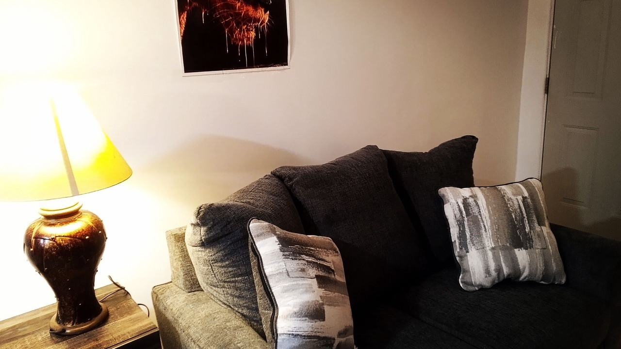 Photo of Livingroom in South Side Slopes