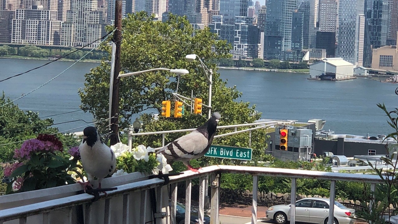 Photo of Patio Balcony in Weehawken