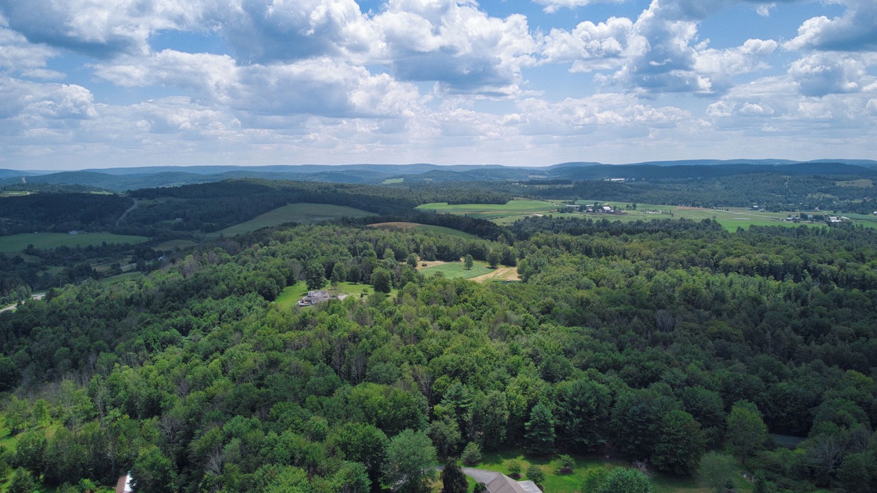Photo of Outdoor in Wellsboro