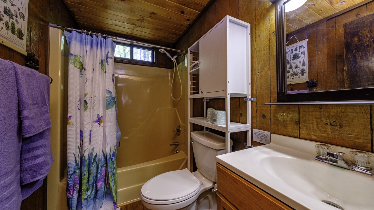 Photo of Bathroom in Lackawaxen