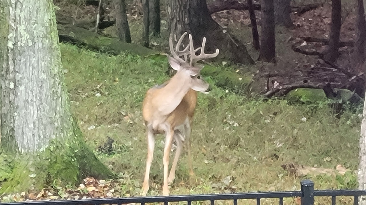 Photo of Outdoor in Stroudsburg