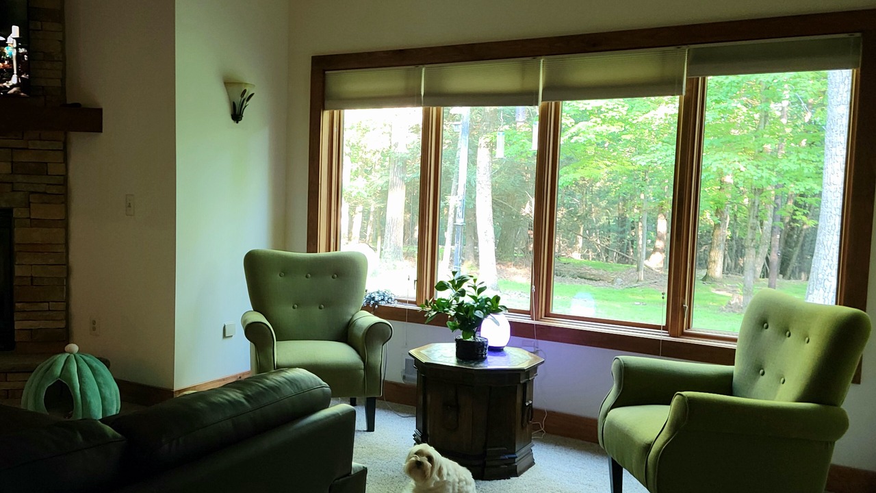 Photo of Livingroom in Stroudsburg