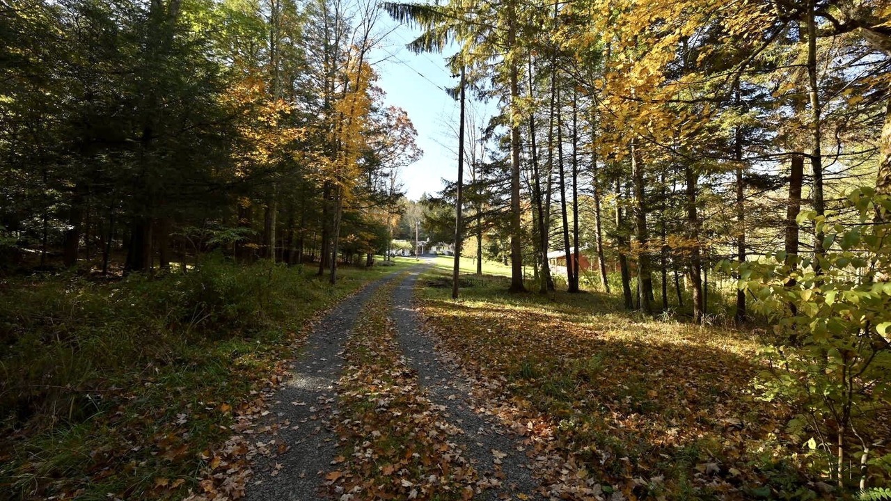 Photo of Outdoor in Gormania