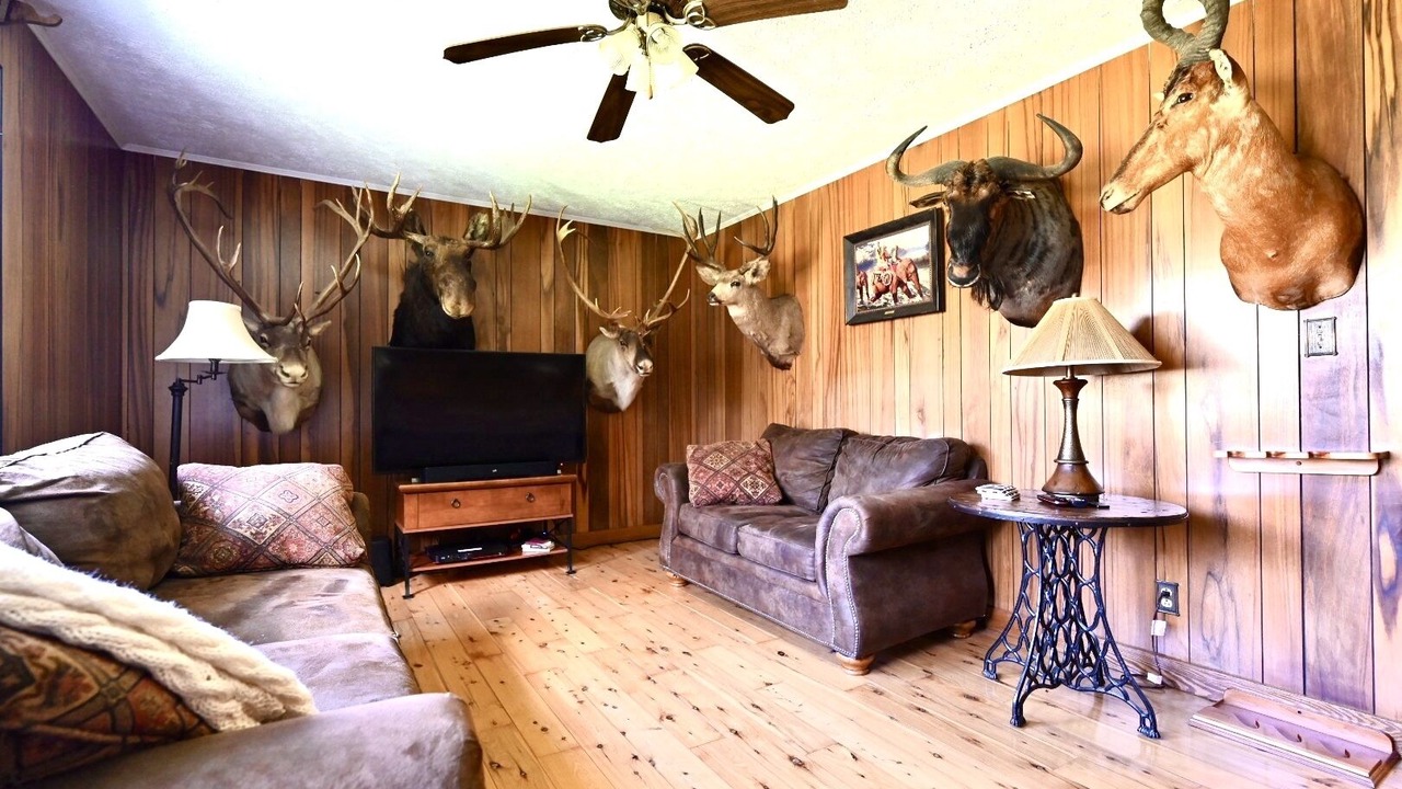 Photo of Livingroom in Gormania