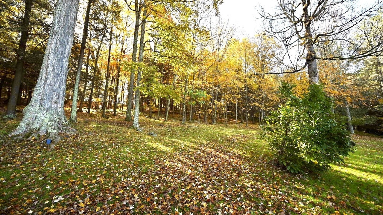 Photo of Outdoor in Gormania