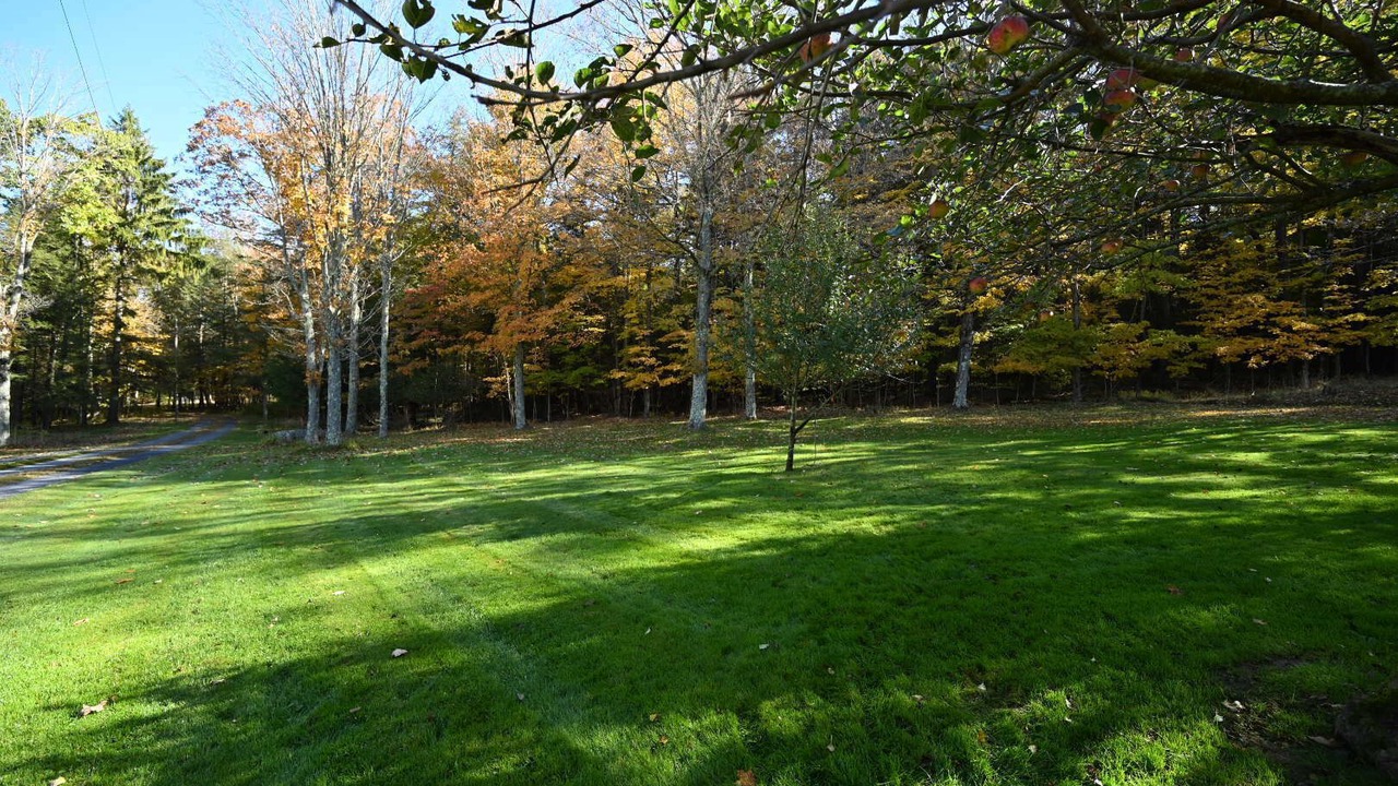 Photo of Outdoor in Gormania
