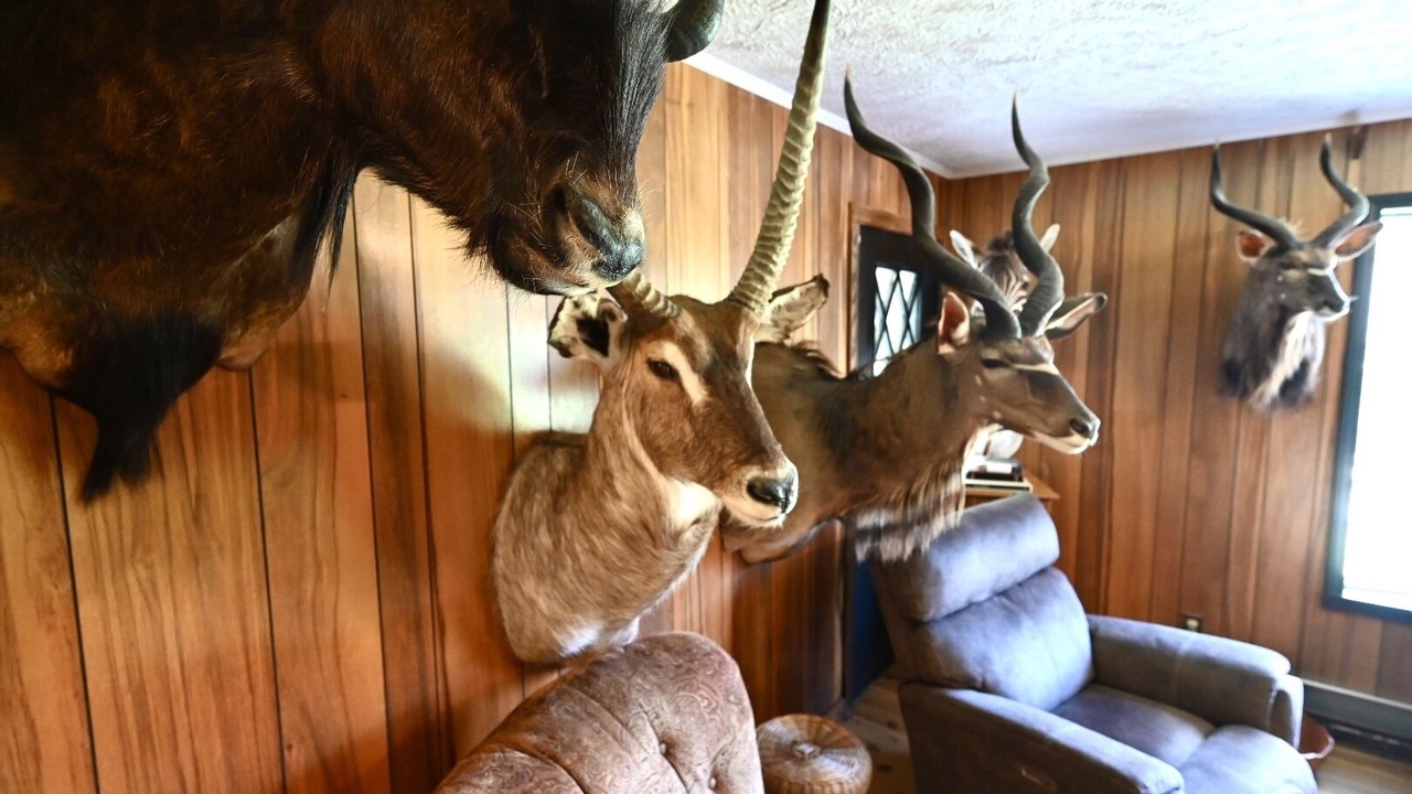 Photo of Others in Gormania