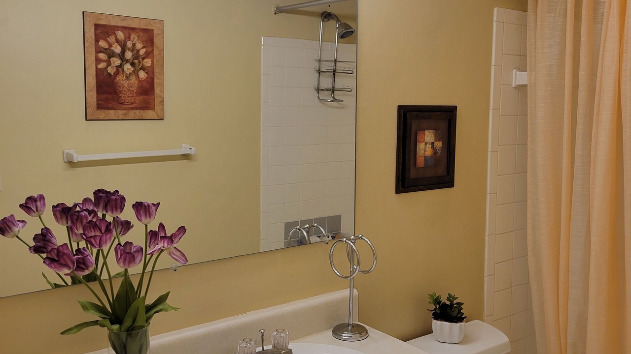 Photo of Bathroom in South Hills