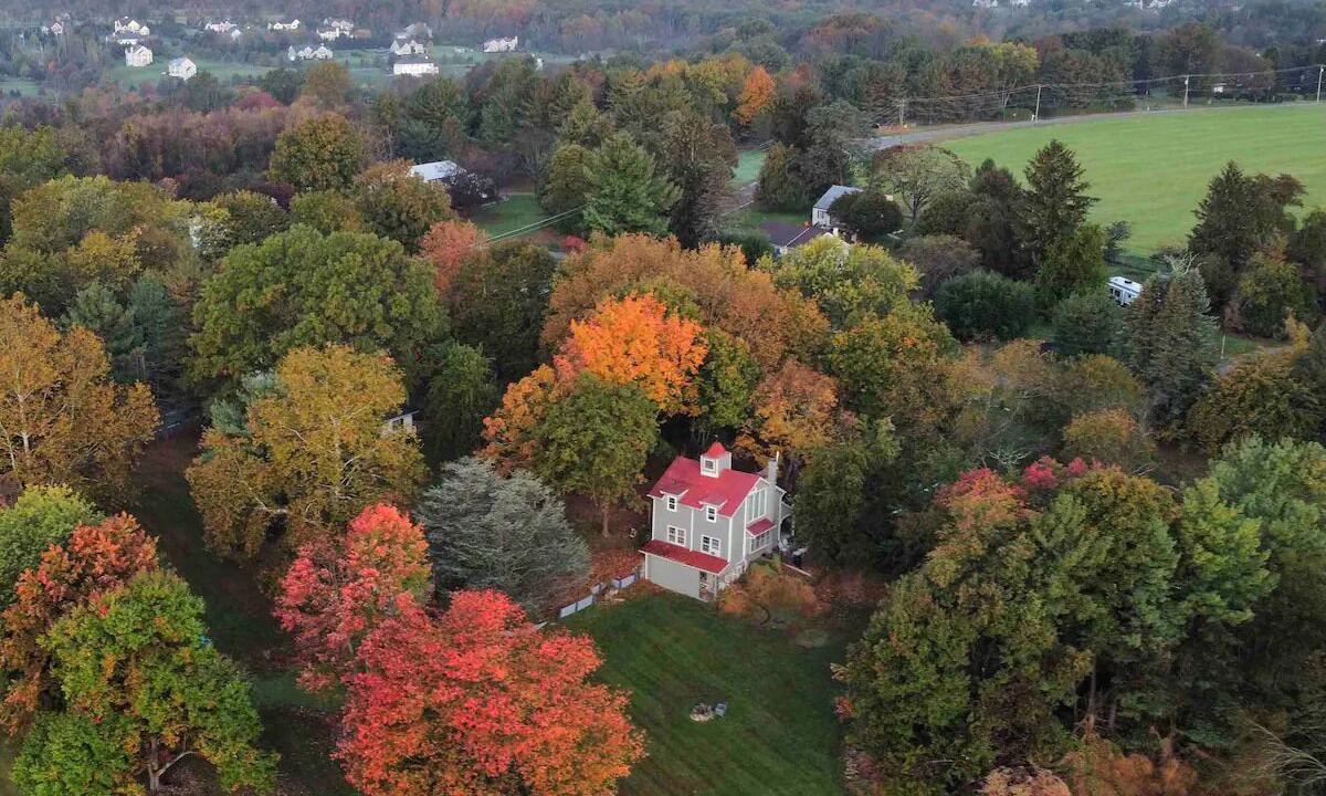 Photo of Outdoor in Flemington