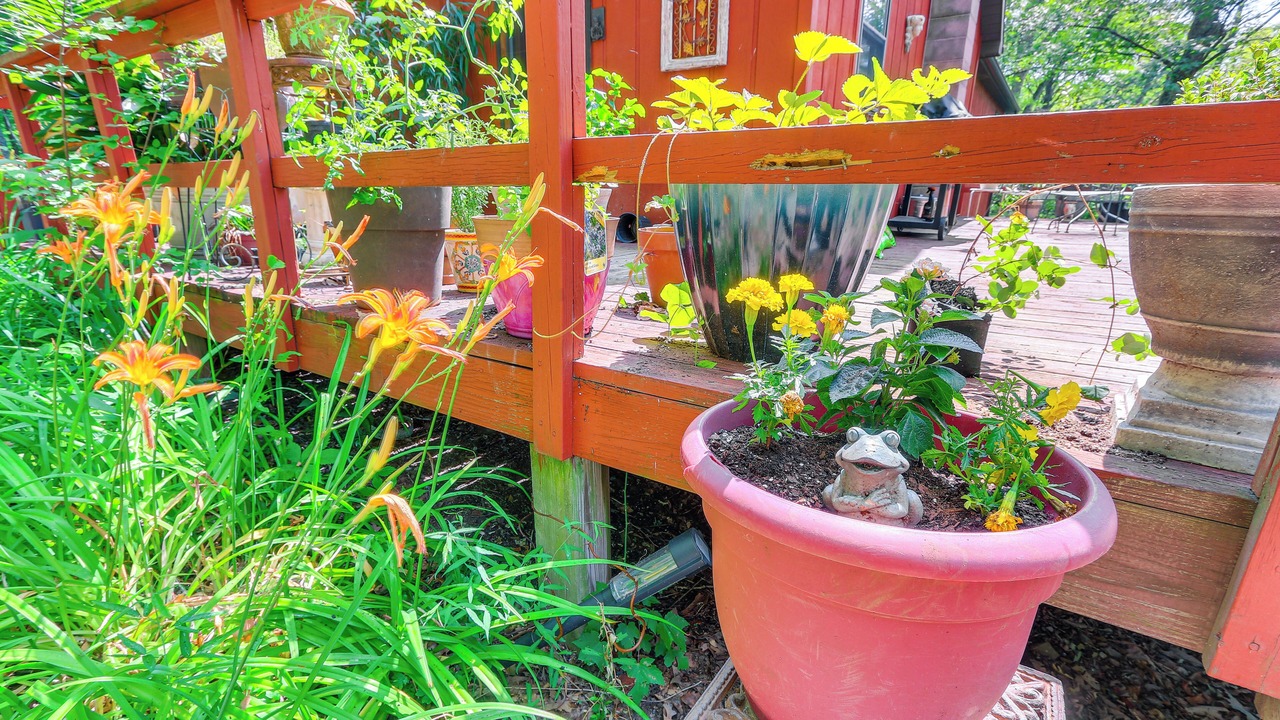 Photo of Outdoor in Great Cacapon