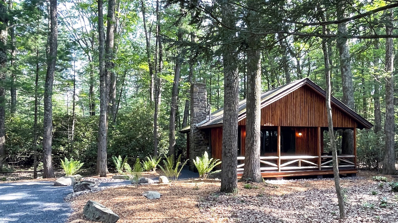 Photo of Outdoor in Reeders