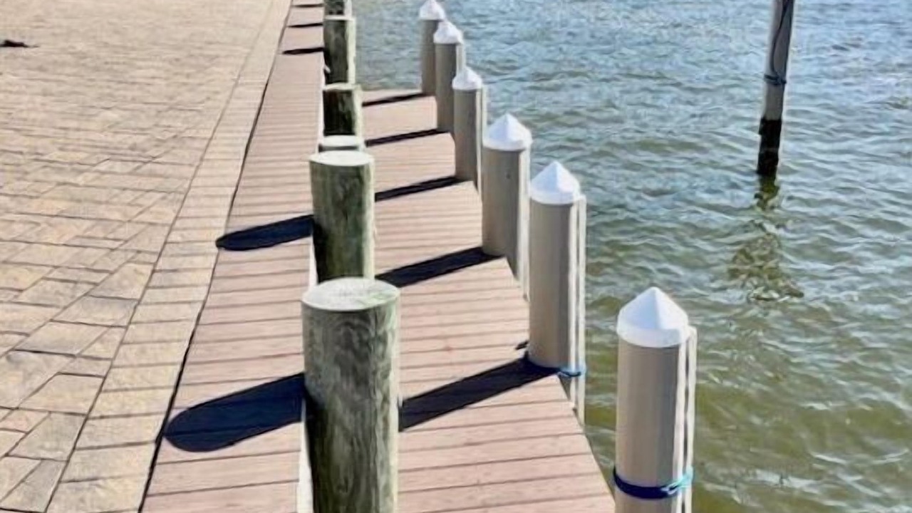Photo of Others in Harvey Cedars