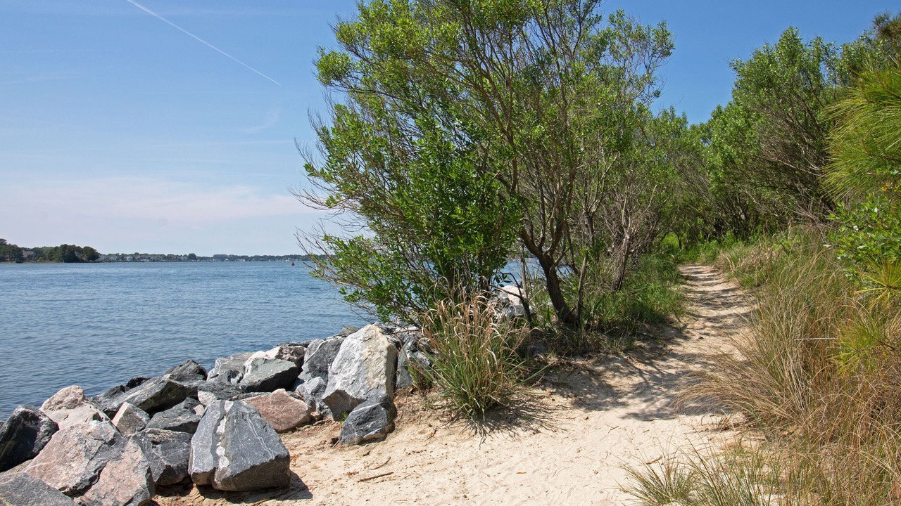Photo of Others in Northeast Virginia Beach