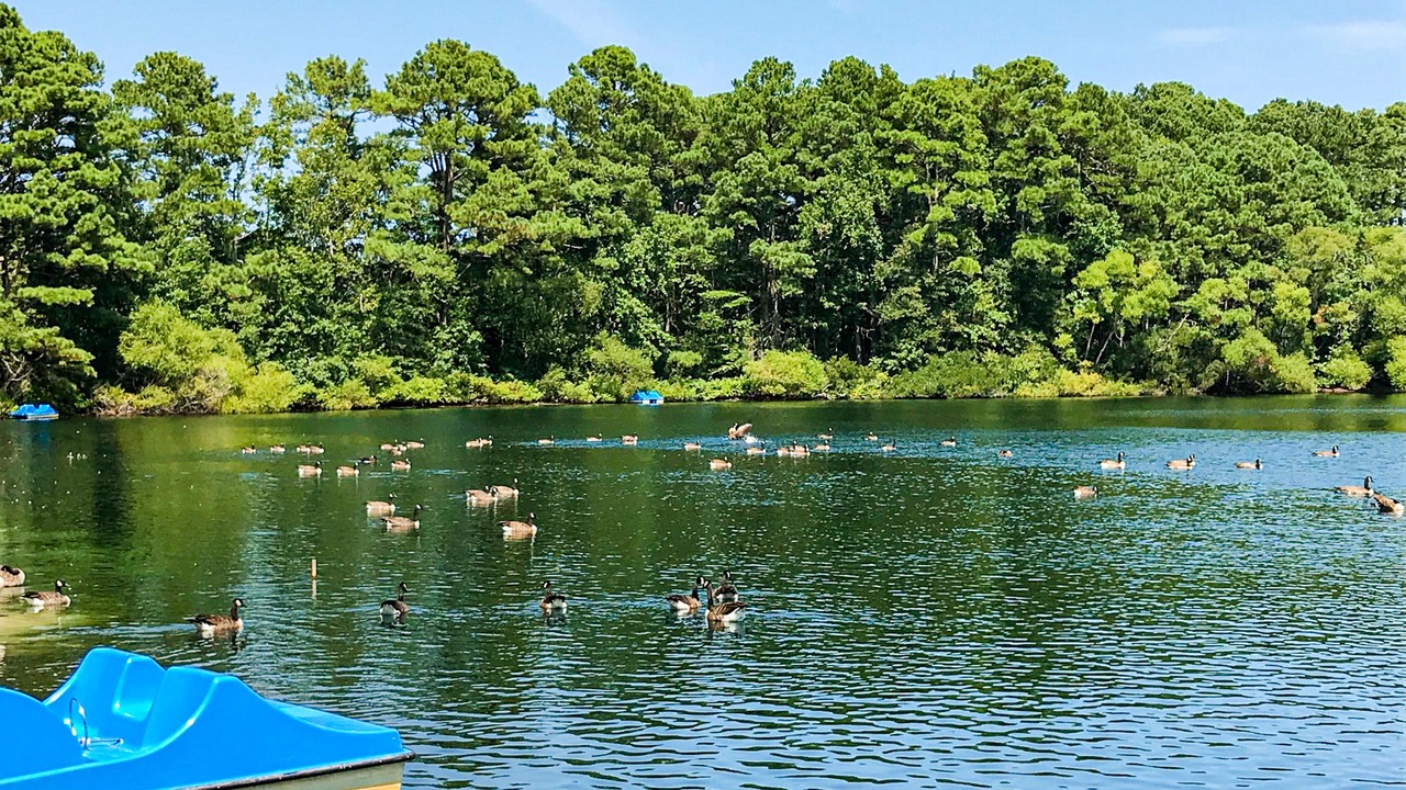 Photo of Outdoor in Assateague Pointe