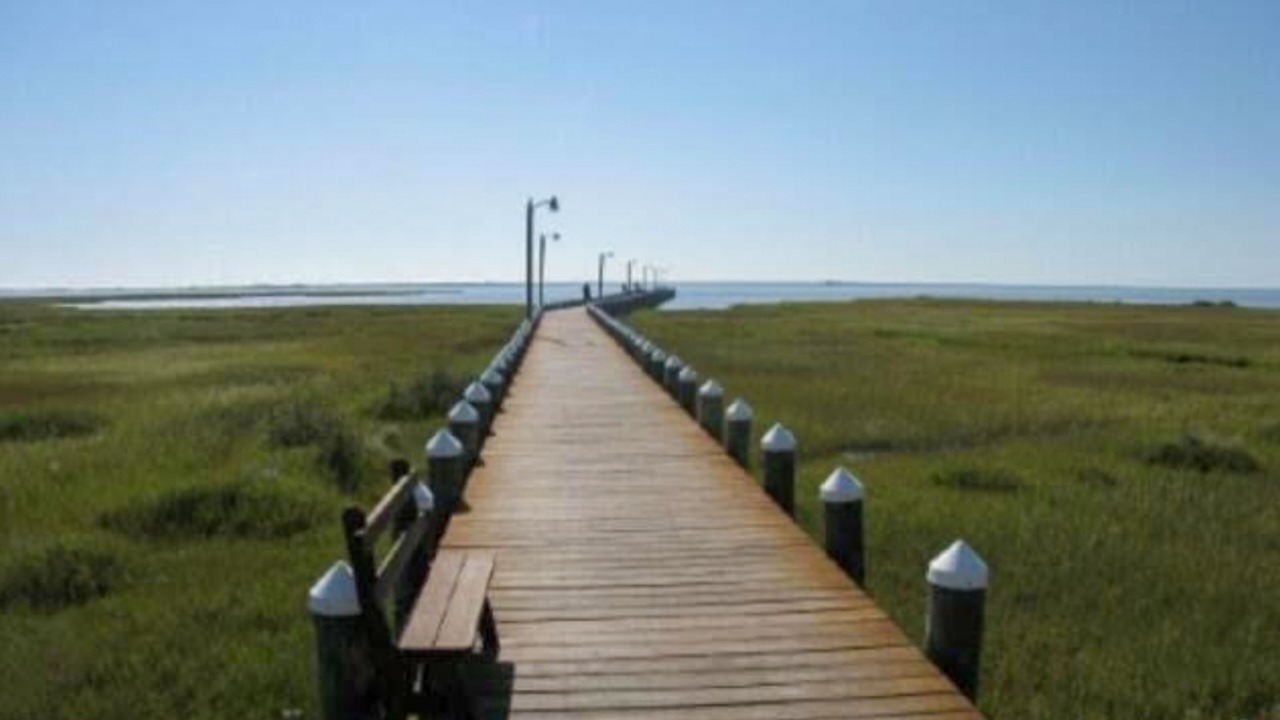Photo of Others in Assateague Pointe