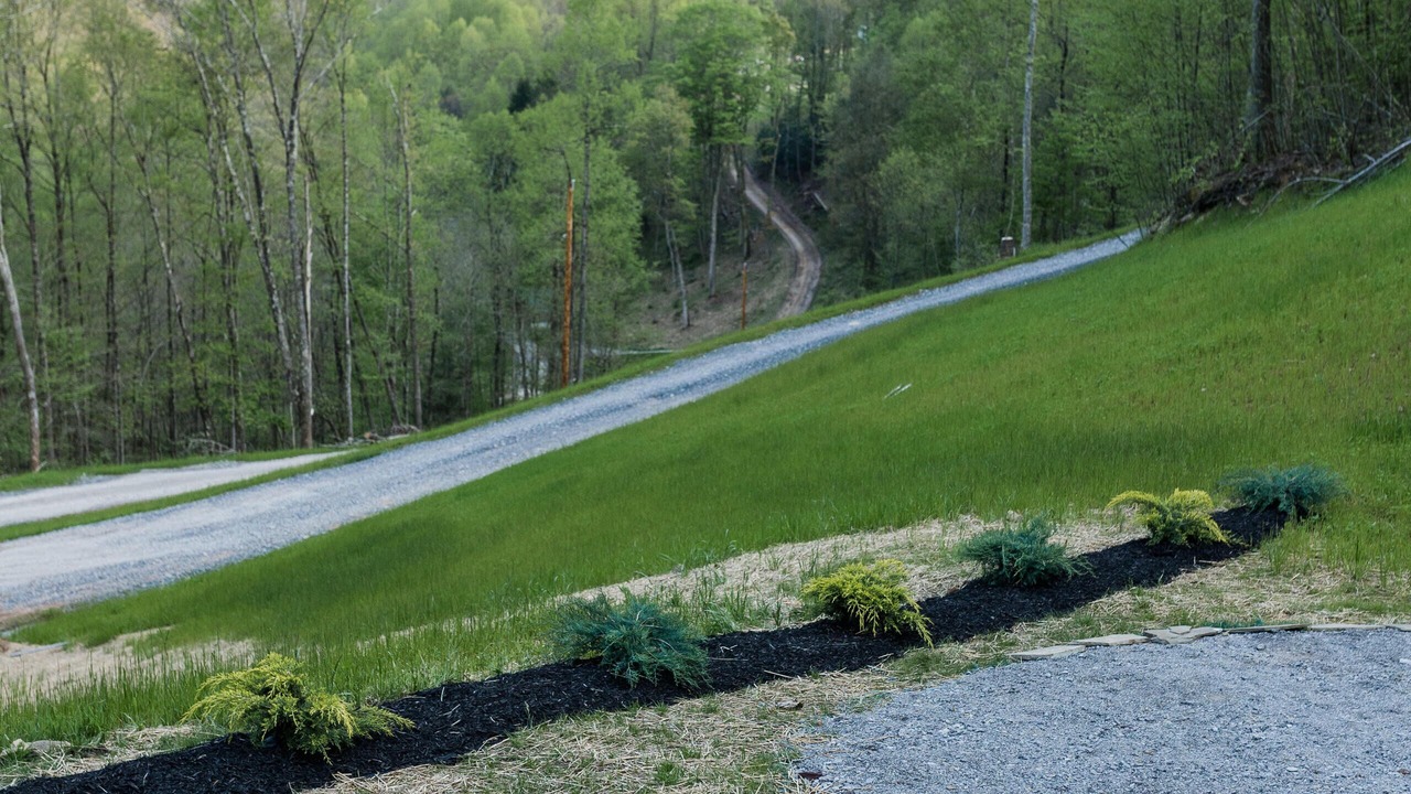 Photo of Outdoor in Black Fork