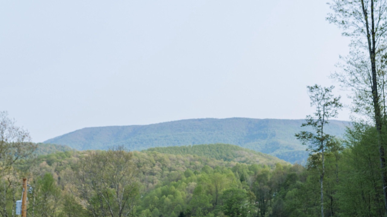 Photo of Others in Black Fork
