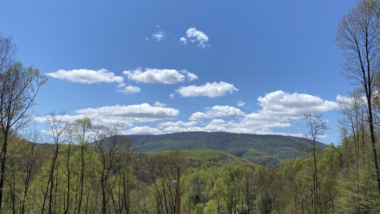 Photo of Outdoor in Black Fork