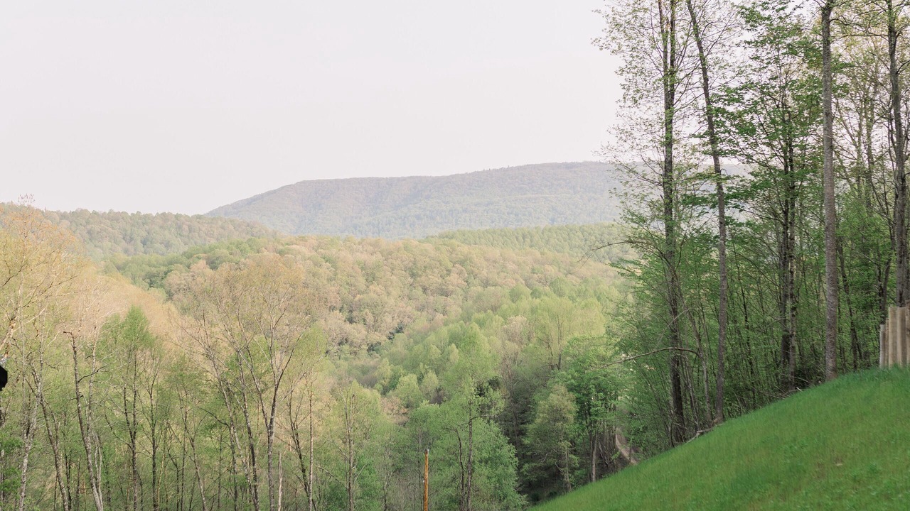 Photo of Outdoor in Black Fork