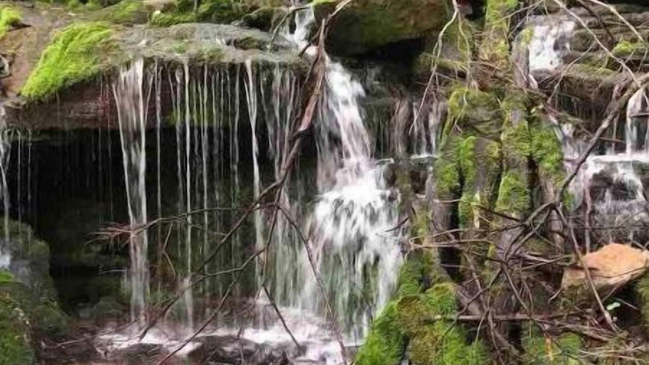 Photo of Outdoor in Claysburg