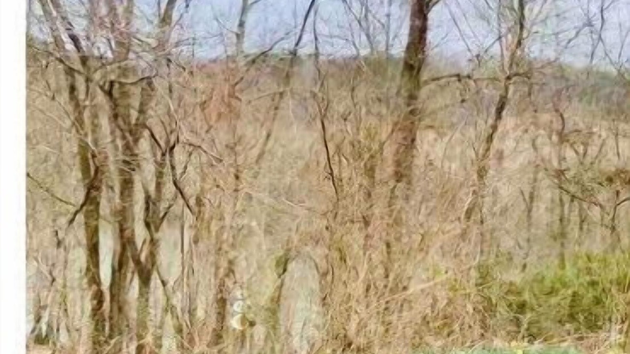 Photo of Others in Williamsburg