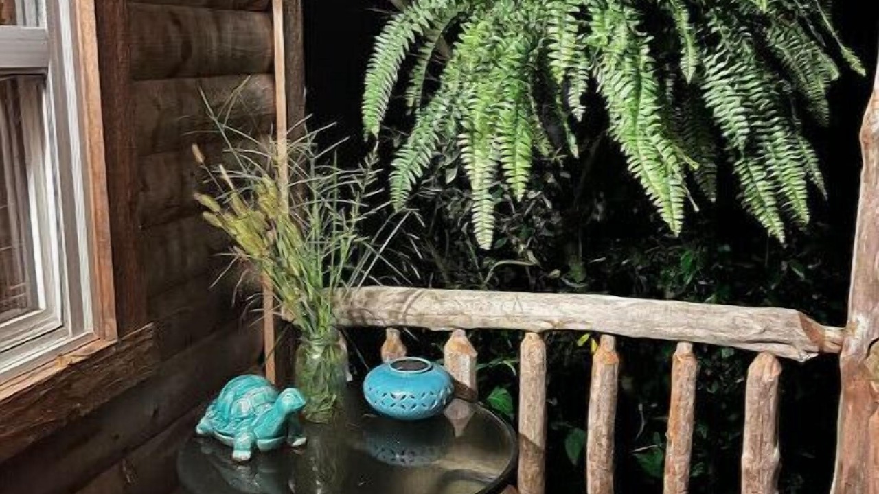 Photo of Outdoor in Williamsburg