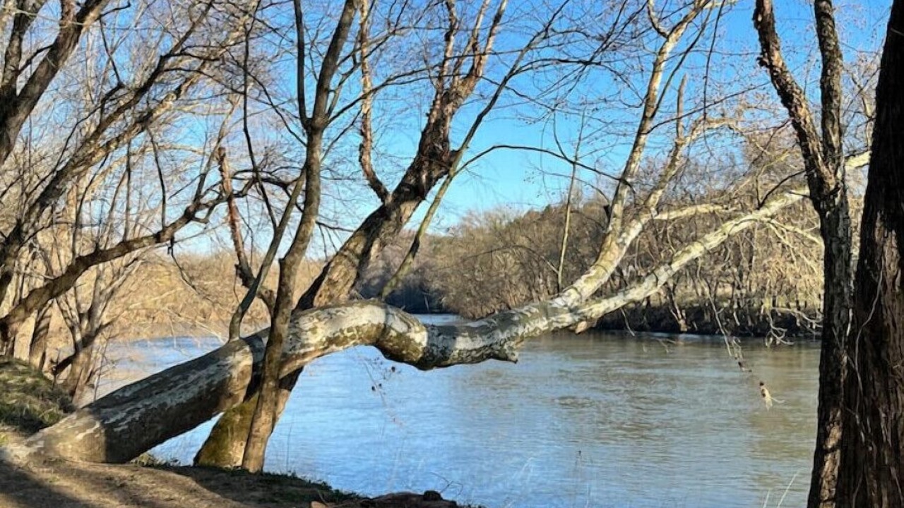 Photo of Outdoor in Williamsburg