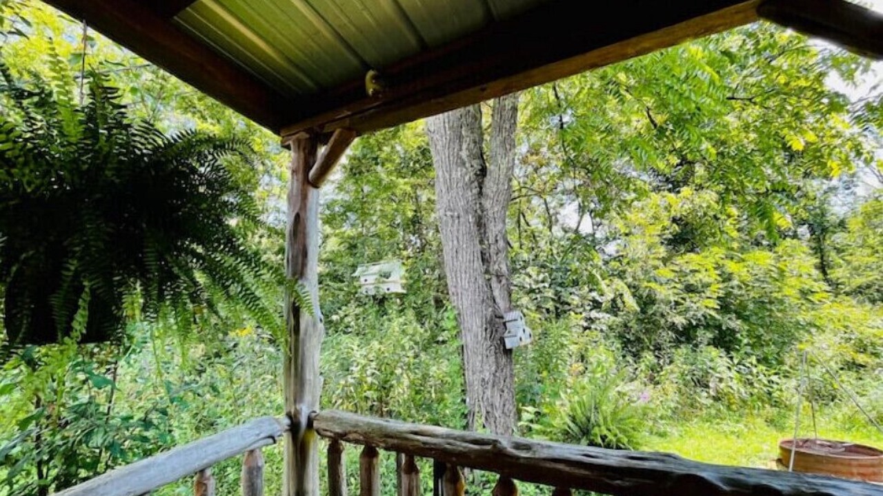 Photo of Outdoor in Williamsburg