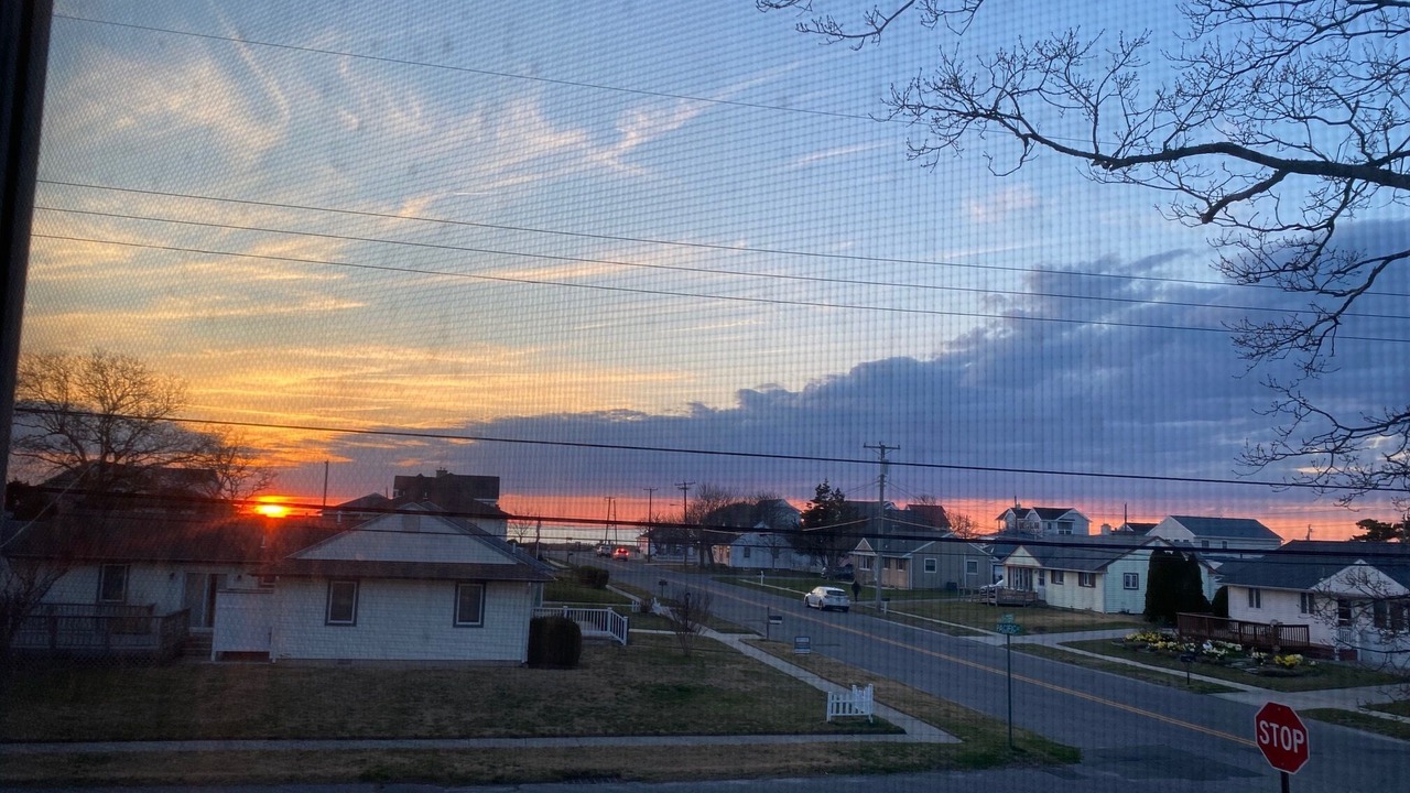 Photo of Others in North Cape May