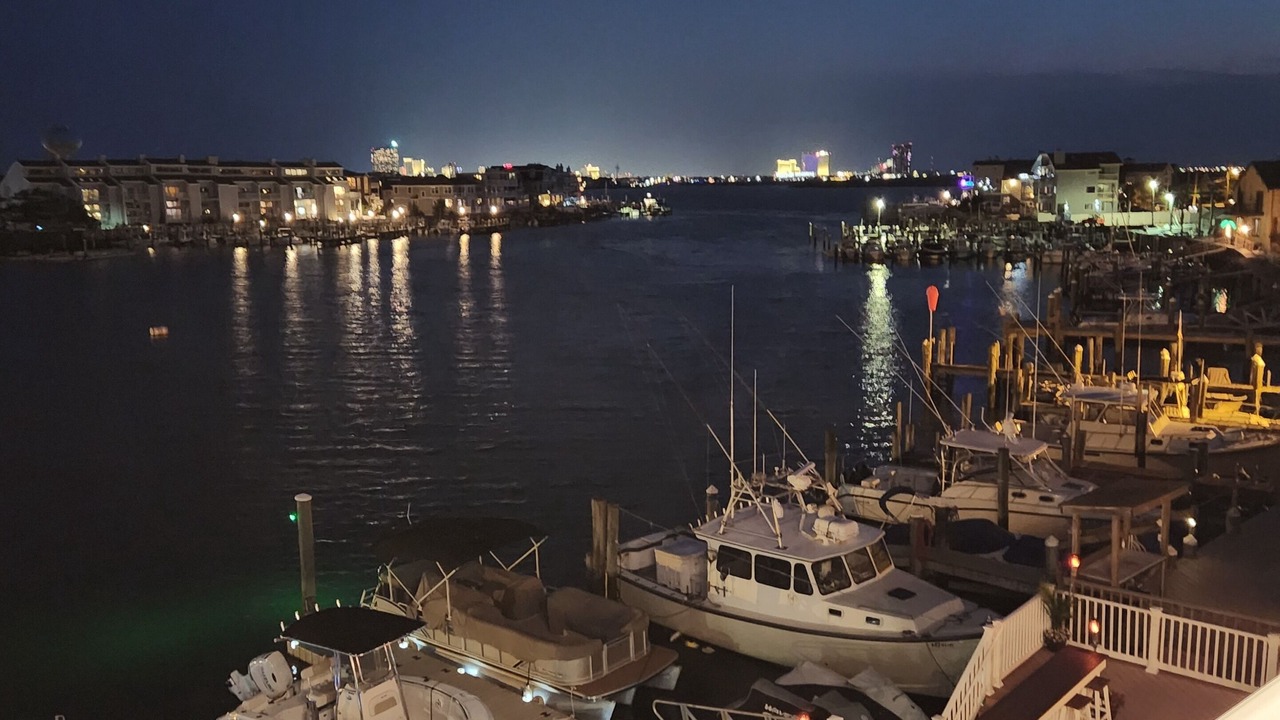 Photo of Others in Brigantine