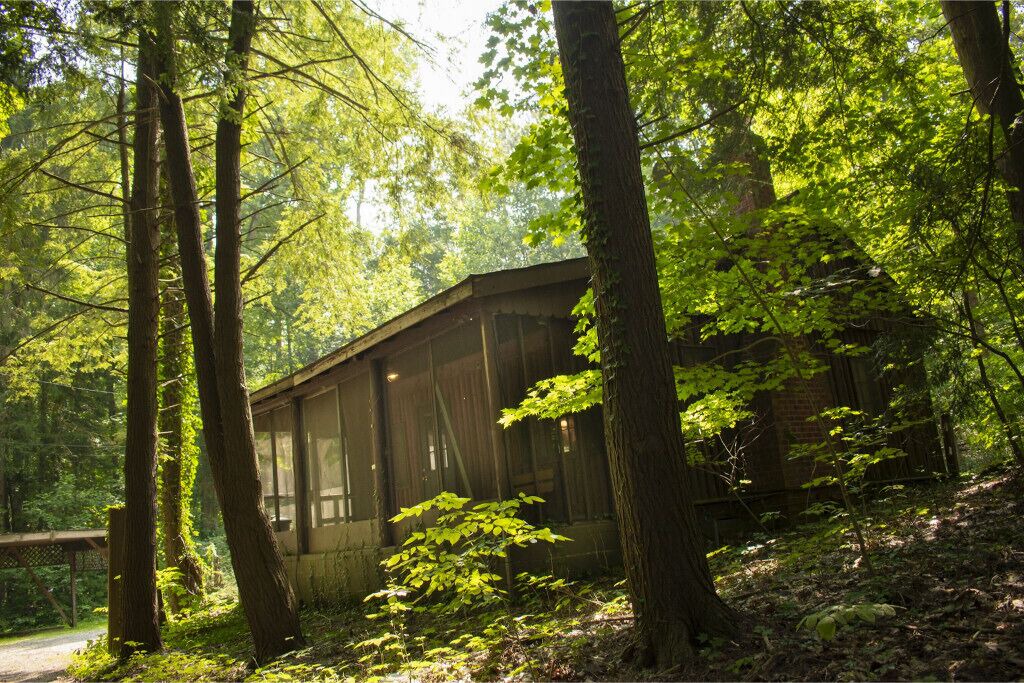 Photo of Outdoor in Bainbridge