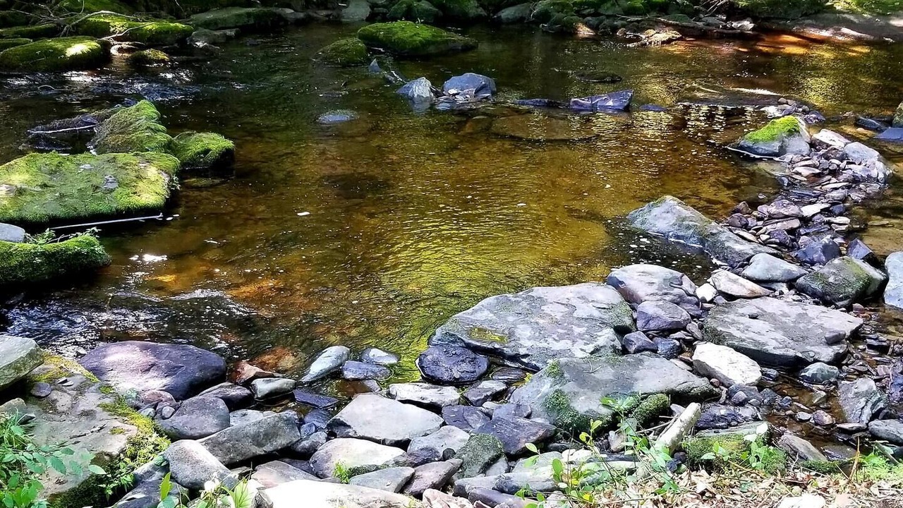 Photo of Outdoor in Bushkill