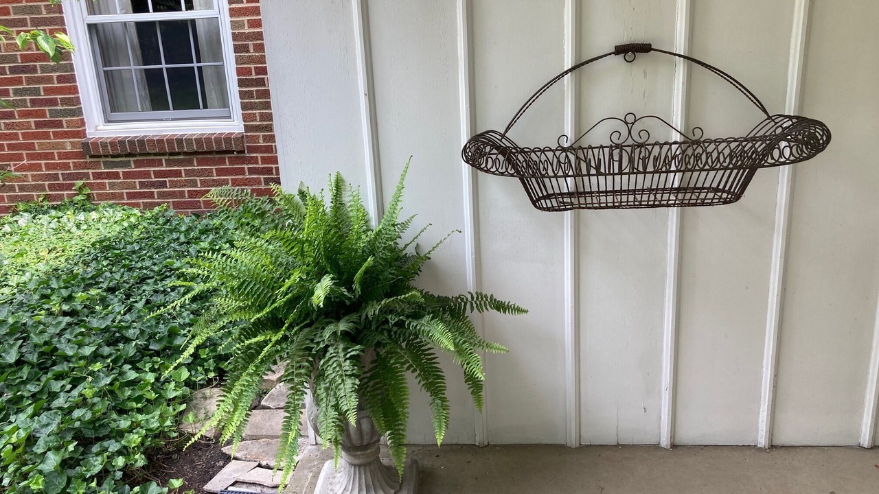 Photo of Outdoor in Medina