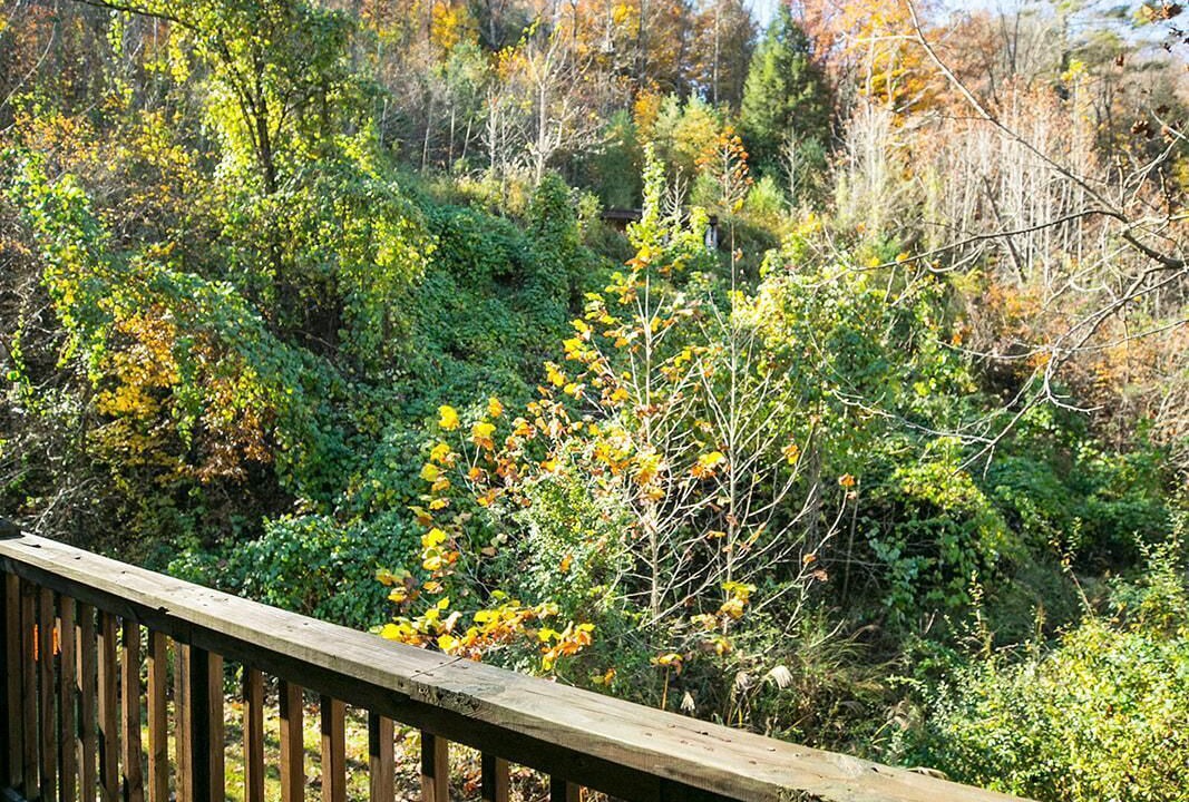 Photo of Patio Balcony in Slade