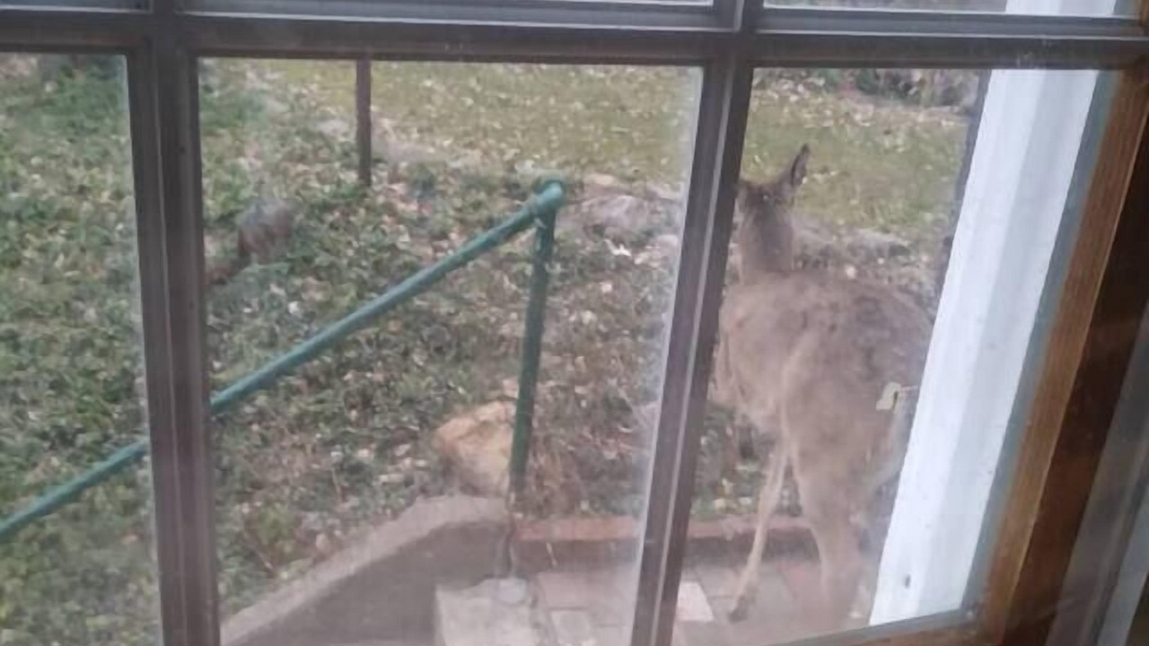 Photo of Others in South Hills